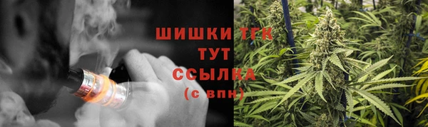стаф Вязьма