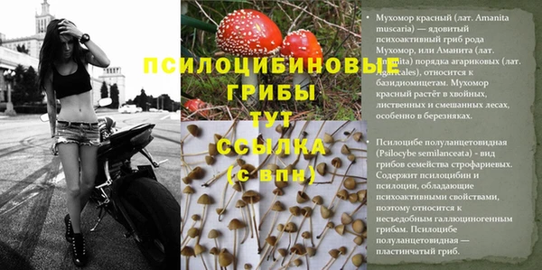 бошки Вяземский