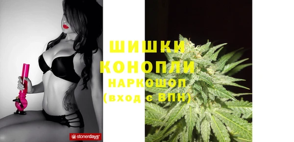 стаф Вязьма