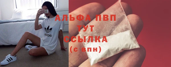 стаф Вязьма
