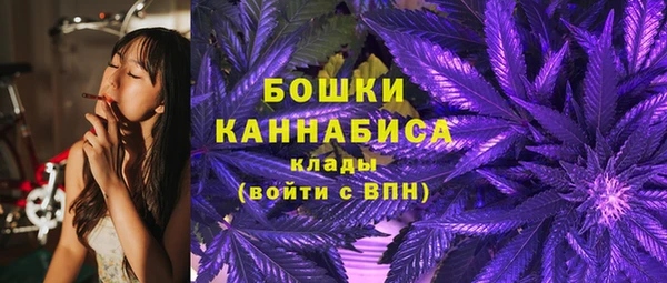 стаф Вязьма