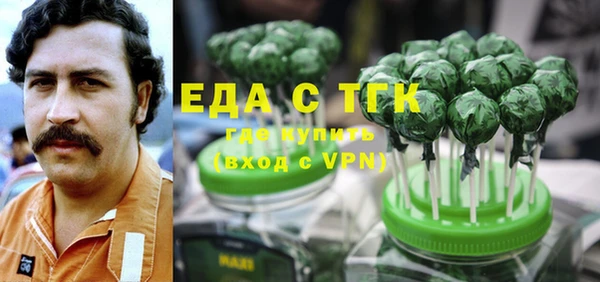 стаф Вязьма