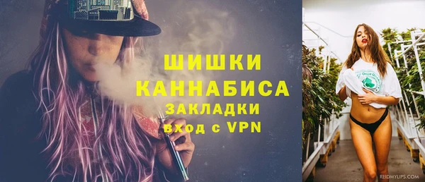 стаф Вязьма