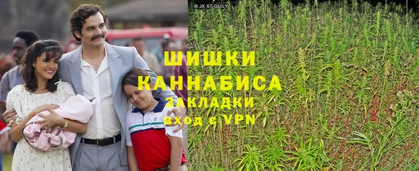 бошки Вяземский