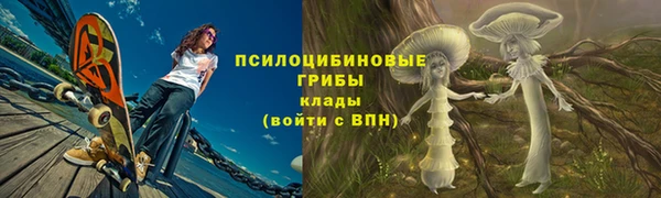стаф Вязьма