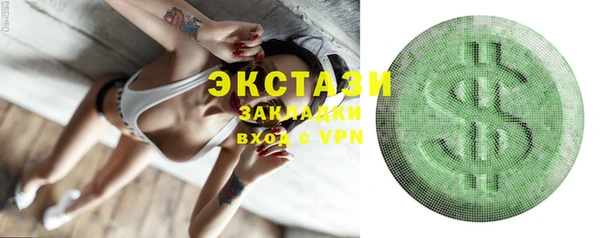 стаф Вязьма